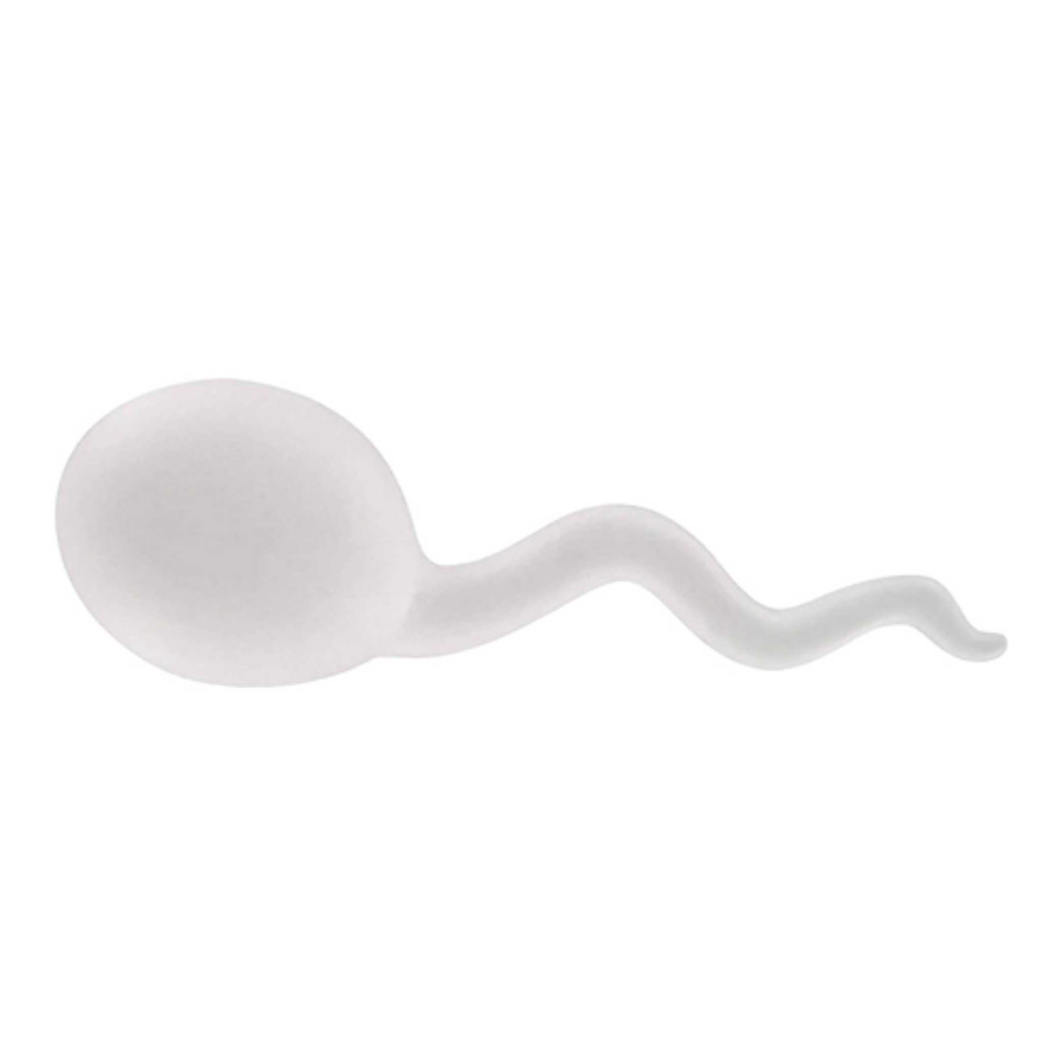 Personalised Stress Sperm | PromoPAL